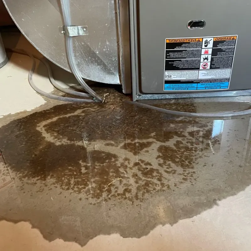 Pipe Burst and Leak Restoration in Franklin County, ME